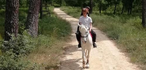 Bandeau horse riding