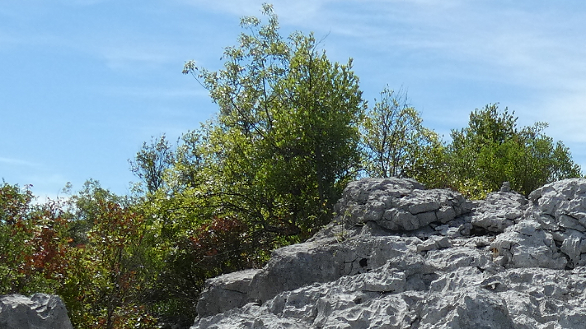 The sea of rocks, in Sauve