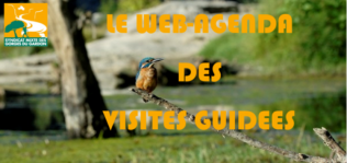 le web agenda des visites guidees les vacances d hiver©syndicat mixte des gorges du gardon