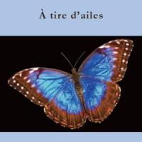 A tire d ailes©editions de la fenestrelle