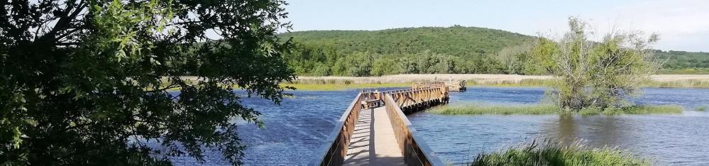 Etang de la Capelle Masmolène, nb©UzEssentiel.com