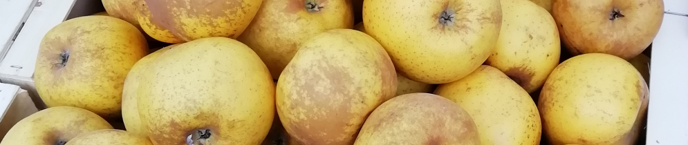 Les Tartes de Françoise - Toutes nos créations Jus de pomme-poire