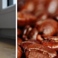 Le café dans tous ses états... en un clic !