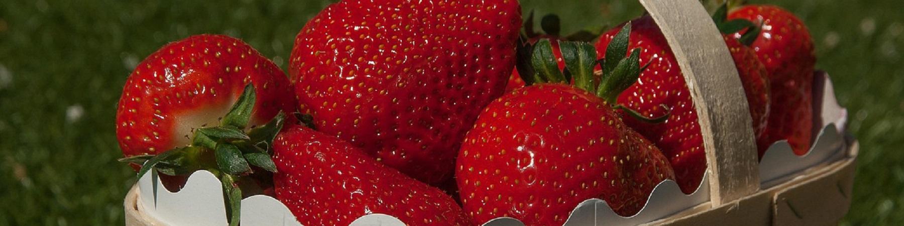 Bd fraises basket strawberries jacqueline macou en pixabay edited