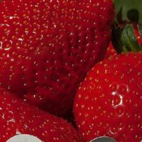 Les fraises... en un clic !