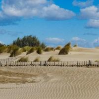 Virée à l'Espiguette...