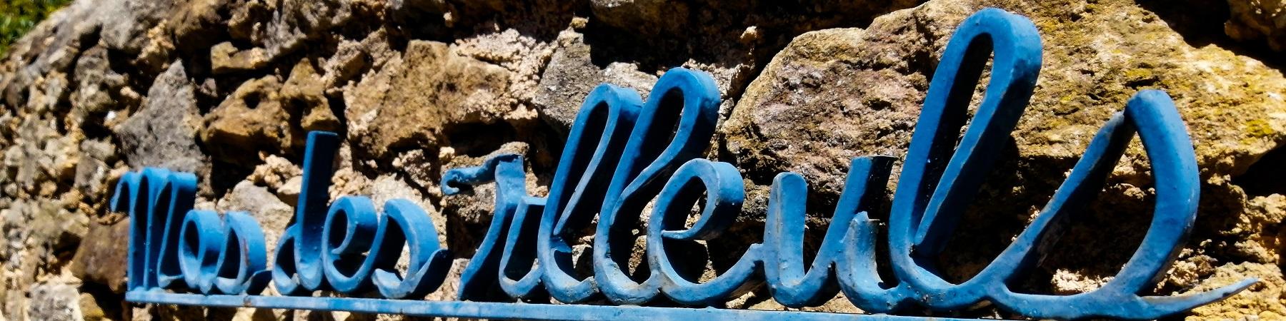 Visite du jardin du Mas des Tilleuls