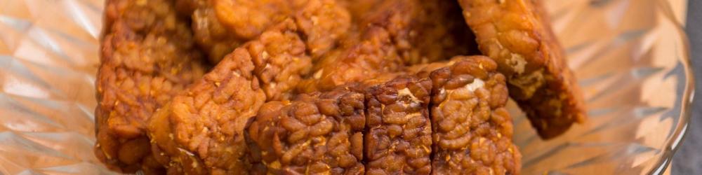 Bd tempeh