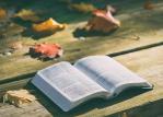 Bible©Pexels en Pixabay