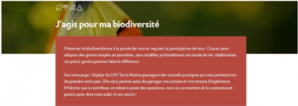 Biodiversite life terra musiva