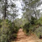 Chemin