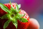 Colorful strawberry close up picjumbo com