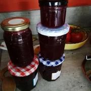 Confiture raisin pots