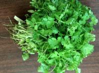 Coriander 2