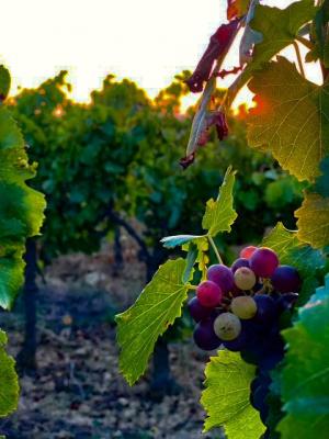 Domaine de dolines 2