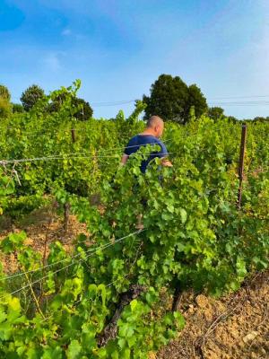 Domaine des dolines 1