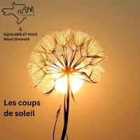 Equilibre et vous, maud simonelli©dandelion Adina Voicu, Pixabay