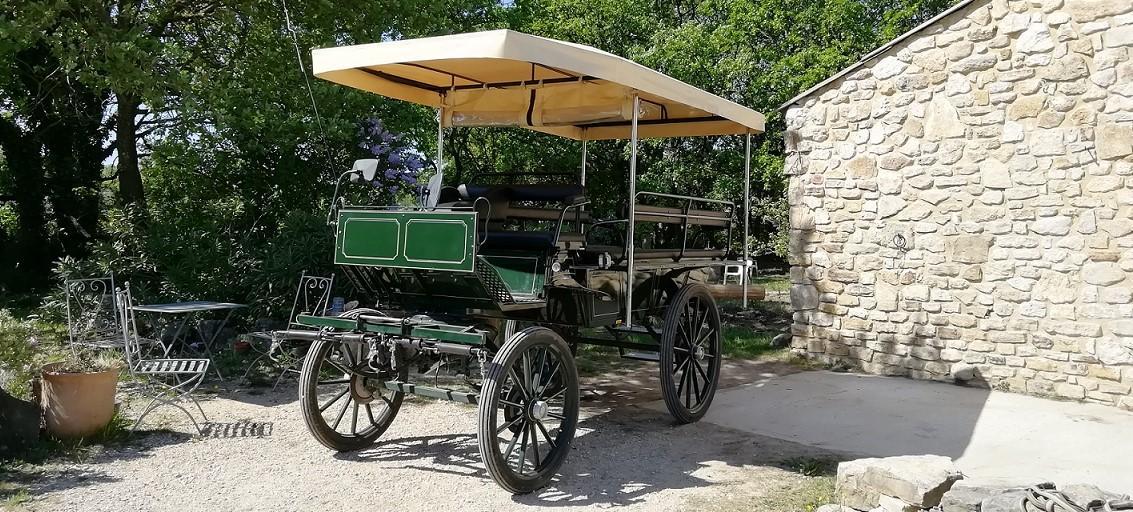 Balade en calèche aux Ecuries de Font Clarette, à Arpaillargues