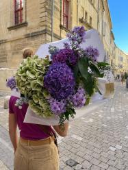 Hortensias, centre-ville Uzès©Cigüe, Uzès