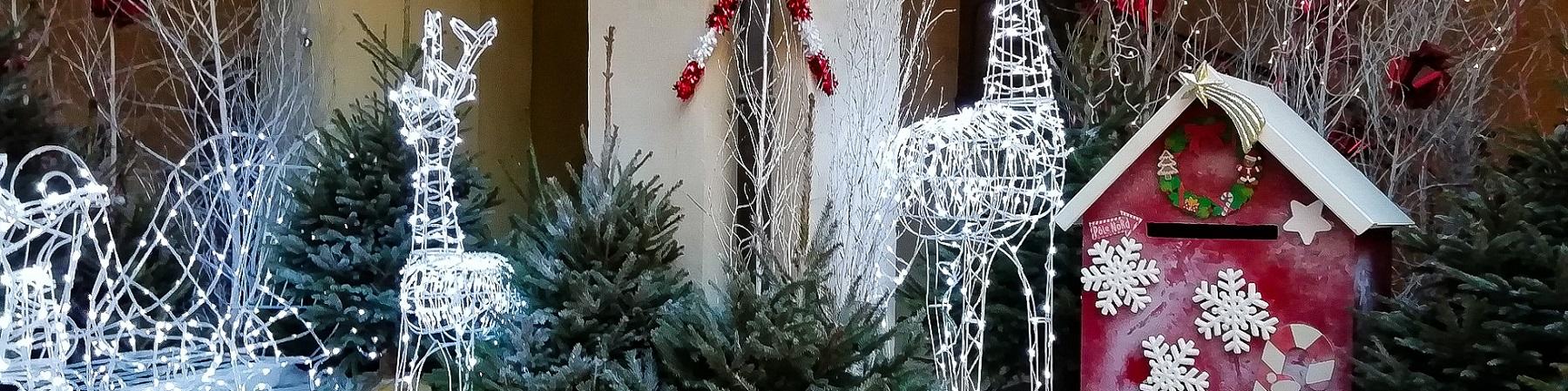 Noël à la Mairie d'Uzès