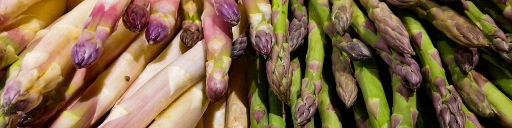 Asperges du Gard