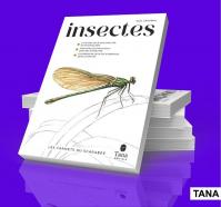 Insectes