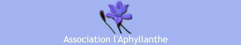 L’Aphyllanthe, the cultural association of Aigaliers