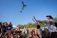 Lacher d oiseaux fete de la biodiversite