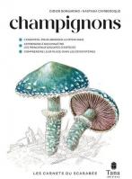 Les carnets du scarabee champignons