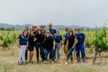 Les vignobles boissier©ponthus