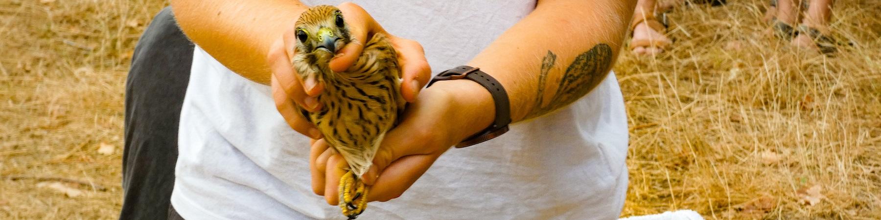 Lâcher d'oiseaux au Monastère de Solan