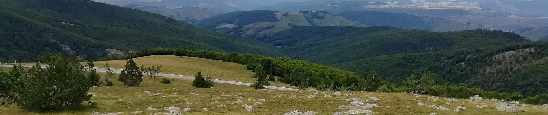 Mont aigoual©nb UzEssentiel