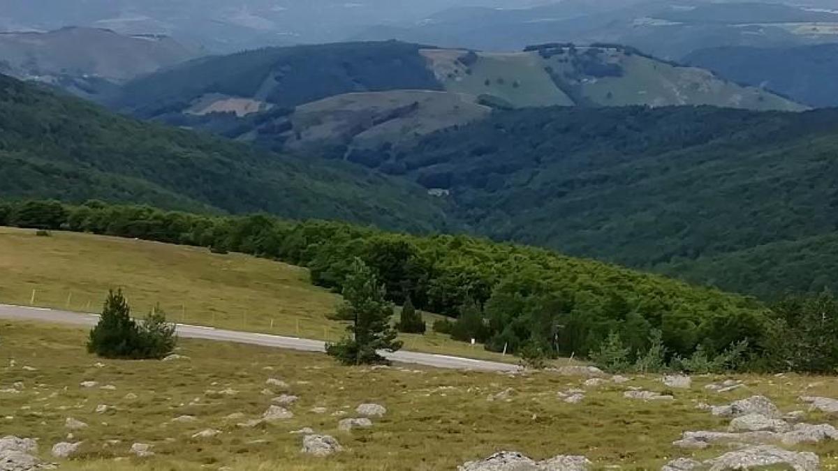 Charles Flahault, the botanist who brought Mont Aigoual back to life