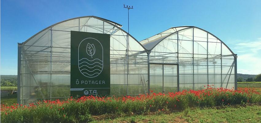 Ô Potager, un potager aquatique