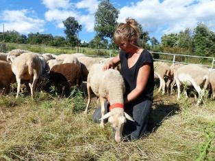 Chloé Lefort, ostéopathie animale