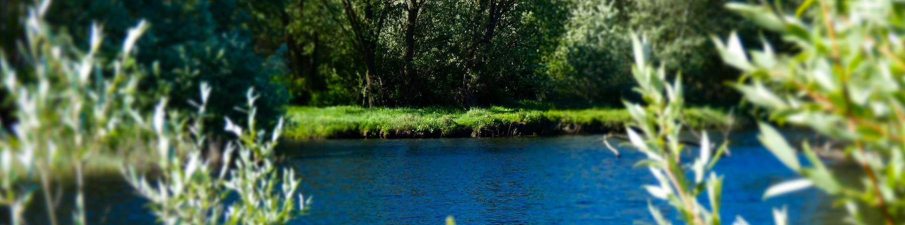 L'étang de La capelle-et-Masmolène
