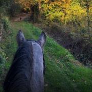 Promenade ecuries du roc