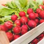 Radishes picjumbo com2