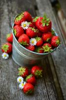 Strawberries© congerdesign pixabay
