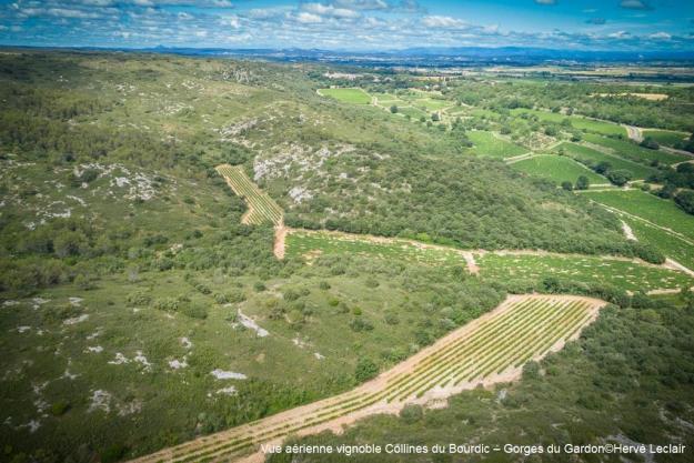 Vue aerienne vignoble collines du bourdic gorges du gardon herve leclair