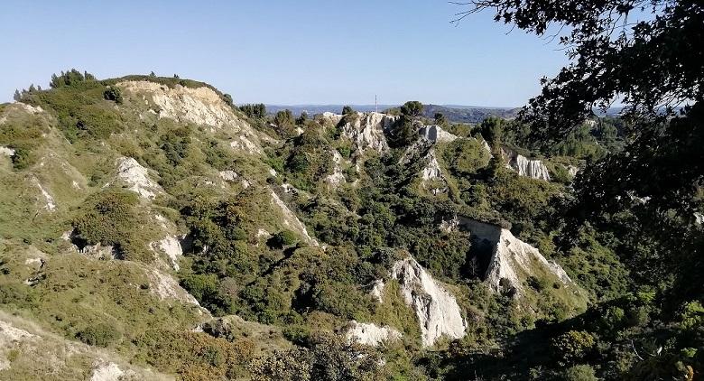 Vue fosses et verdure ok